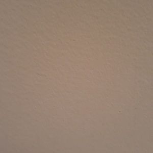 Meet your Posher, Ruperto